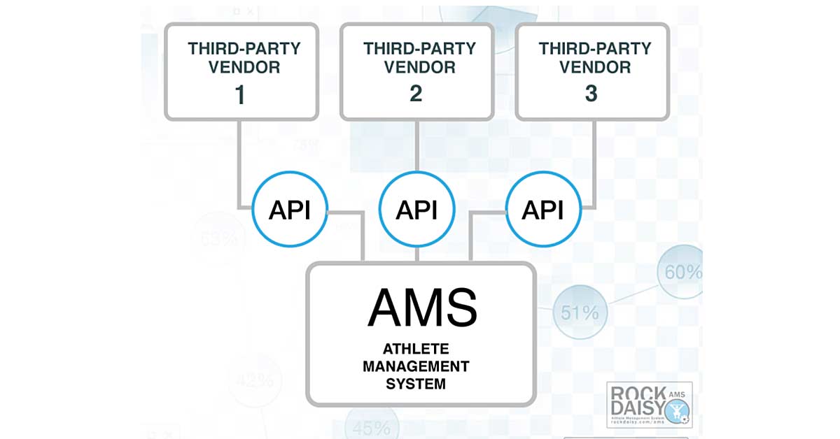 Rock Daisy API|Excel API|Dashboard