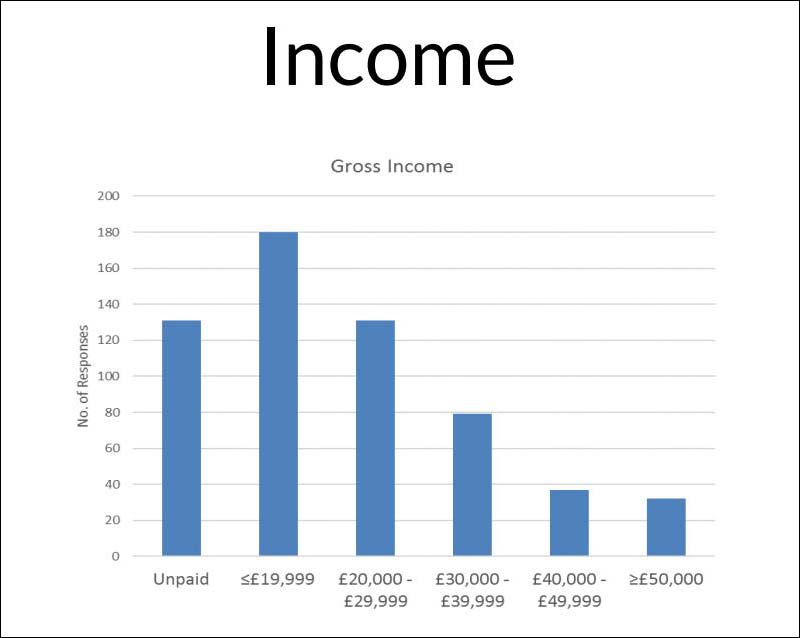 Coaching Income