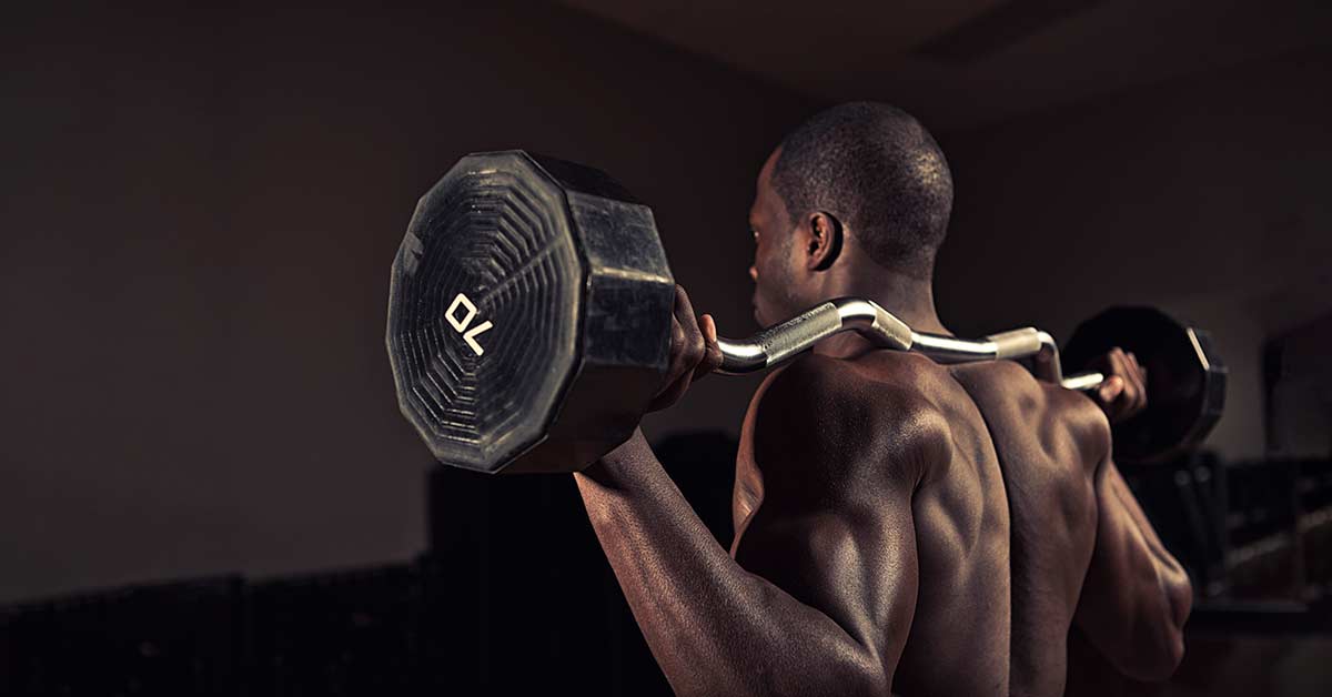 Curling Bar|Diagram of the brain showing the limbic system on the left and motor/sensory regions of the cerebral cortex on the right. Labels include the corpus callosum