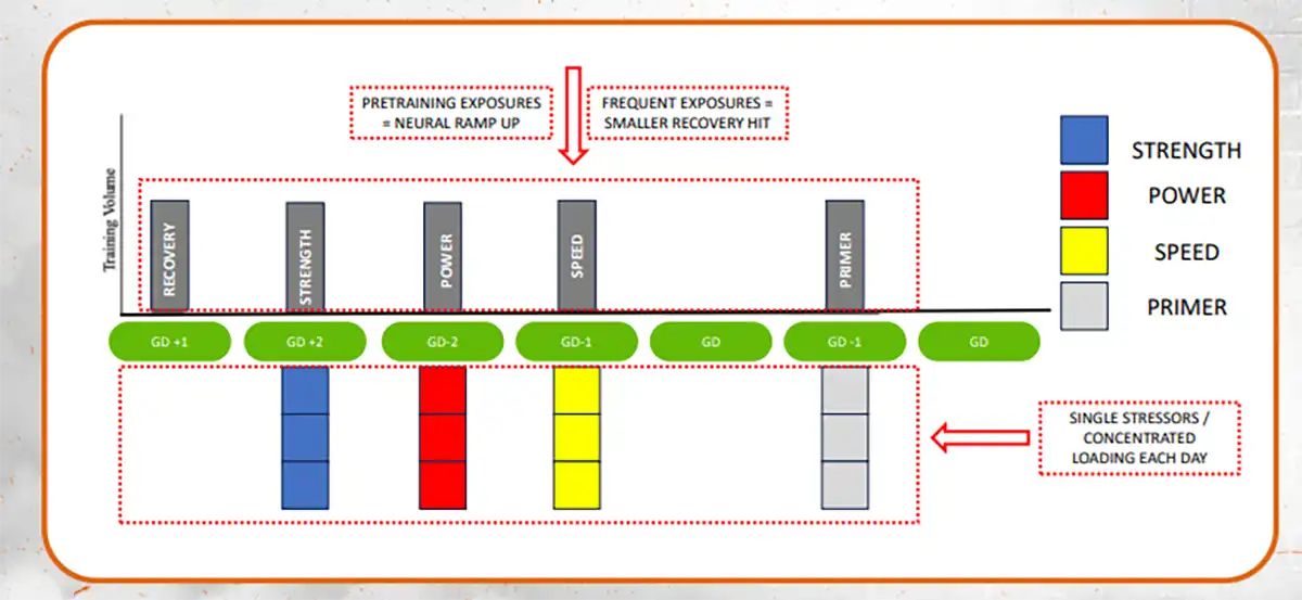 Microdosing Volleyball Key Emphasis